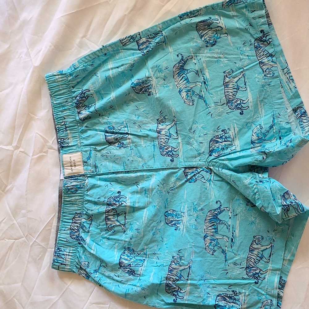 Boys American Eagle swim trucks